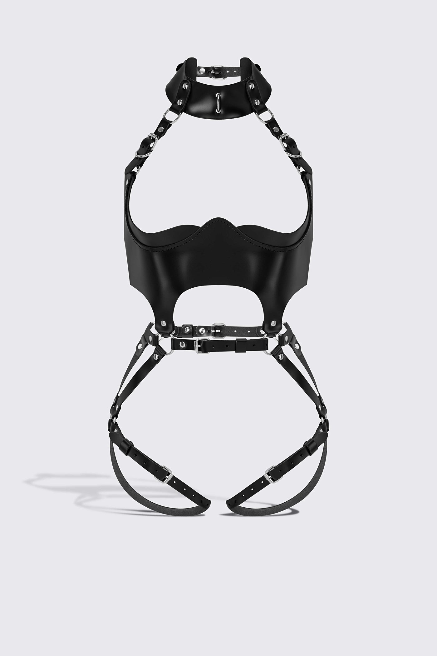 Tara's adjustable Body Dish